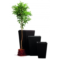 KETER Květináč Rattan Planter M - hnědý