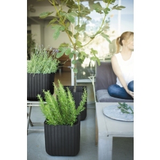 KETER Květináč Small Wood Look Planter S - antracit