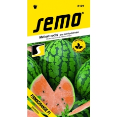 Meloun vodní - Primaorange F1 oranžový 8s