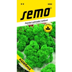 Petržel naťová - Kadeřavá 4g