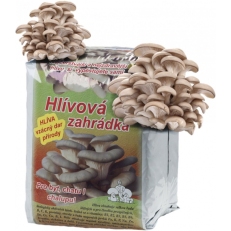 Substrát - souprava na pěstování hlívy ústřičné