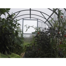 GARDENTEC Classic - 4 x 3 m zahradní skleník z polykarbonátu