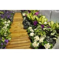 Zahradní fóliovník 2,5x8m HomeGarden - zelený