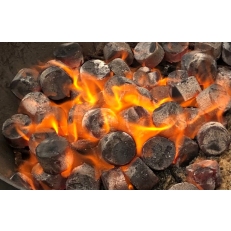 Dřevěné Brikety pro grilování  - Casus Grill
