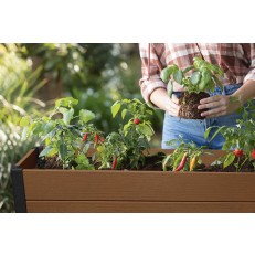 Darwin garden bed - vyvýšený záhon - hnědý